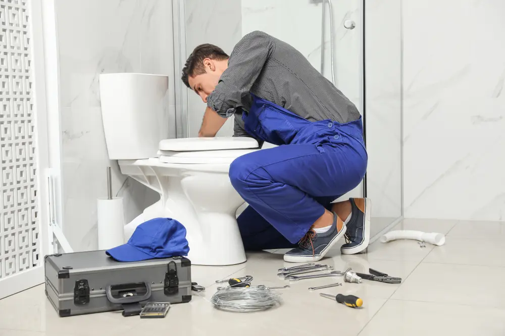 Toilet Installation in Waipahu
